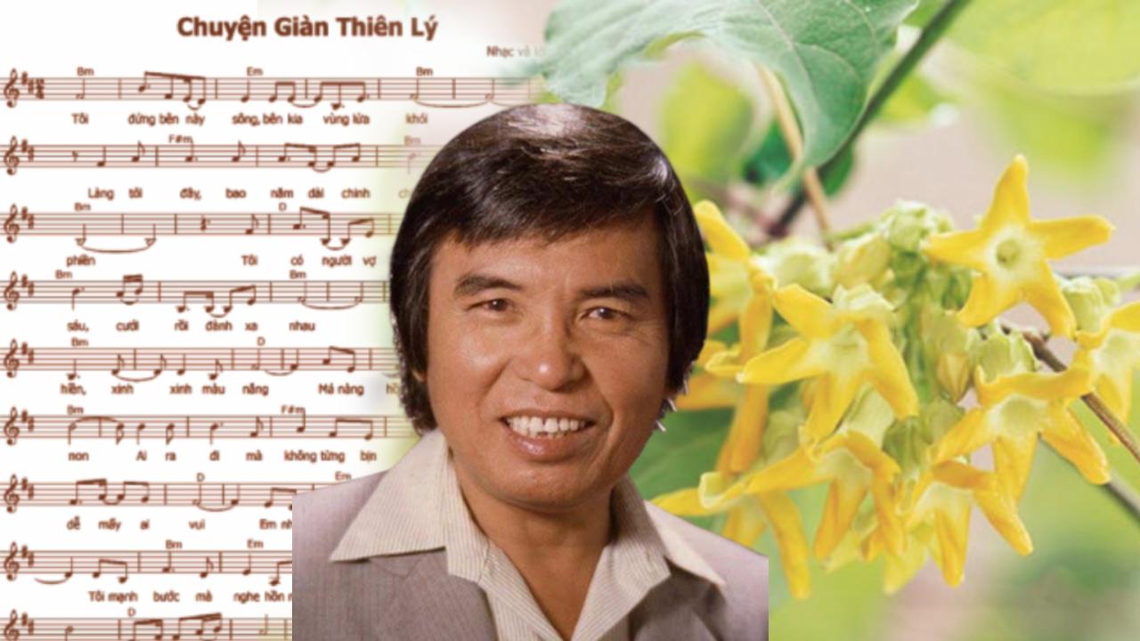 Hướng Dẫn Xin Phép Bản Quyền Bài Hát Chuyện Giàn Thiên Lý Đúng Luật