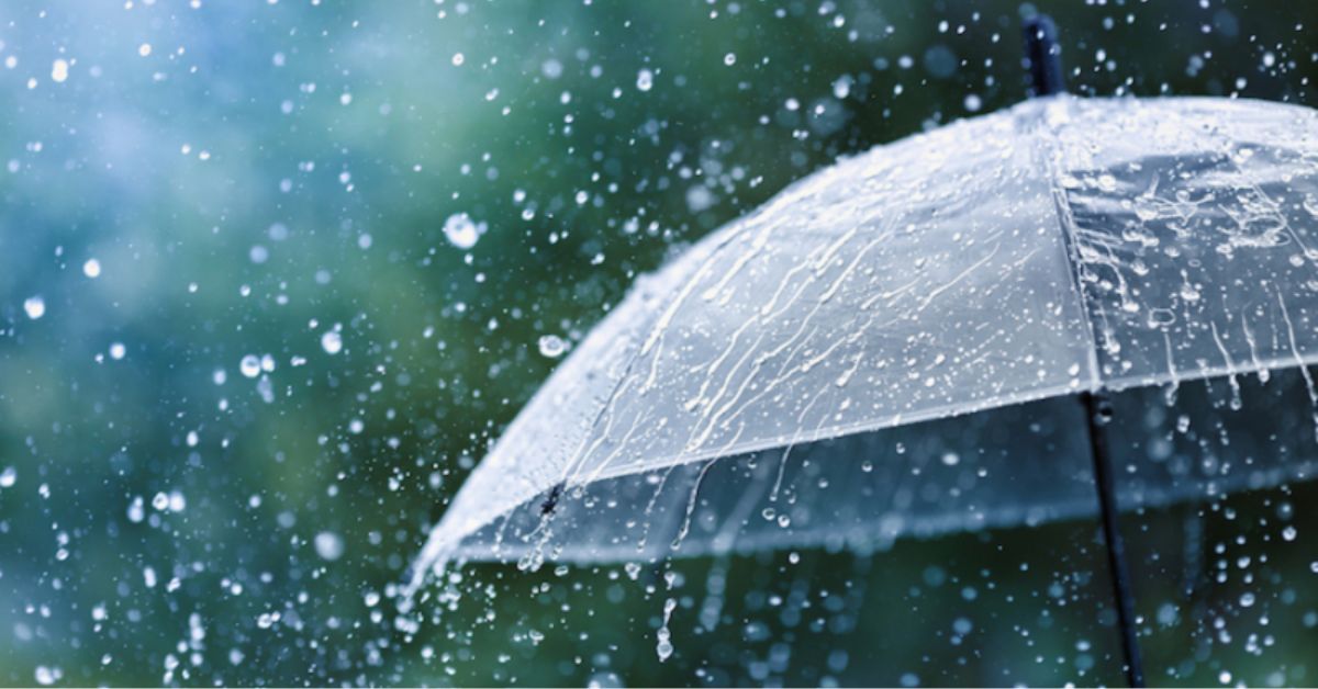 Tại sao cần xin phép bản quyền bài hát Chiều Mưa?