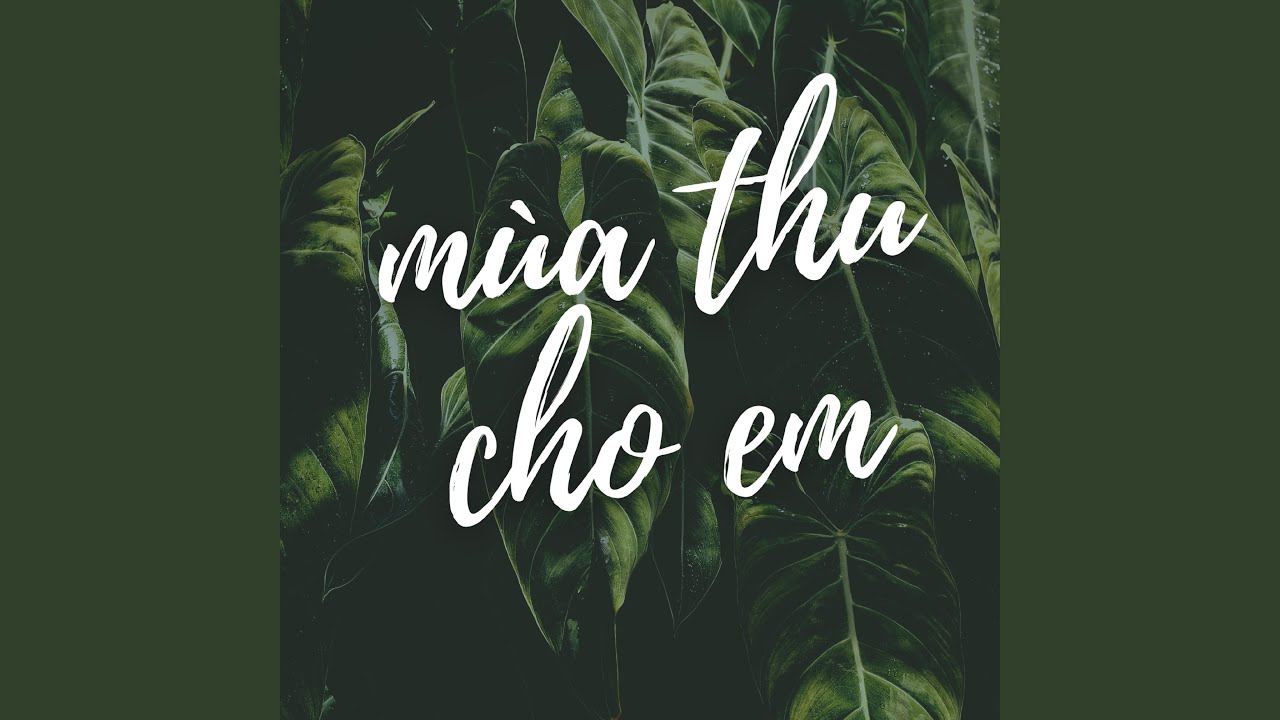 Lời Bài Hát Mùa Thu Cho Em – Nhạc Trữ Tình Bất Hủ