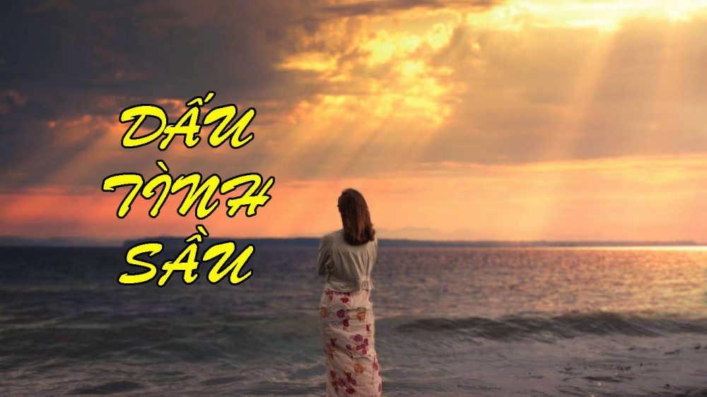 Lời Bài Hát Dấu Tình Sầu (Lyrics) – Bản Tình Ca Bất Hủ Của Ngô Thụy Miên