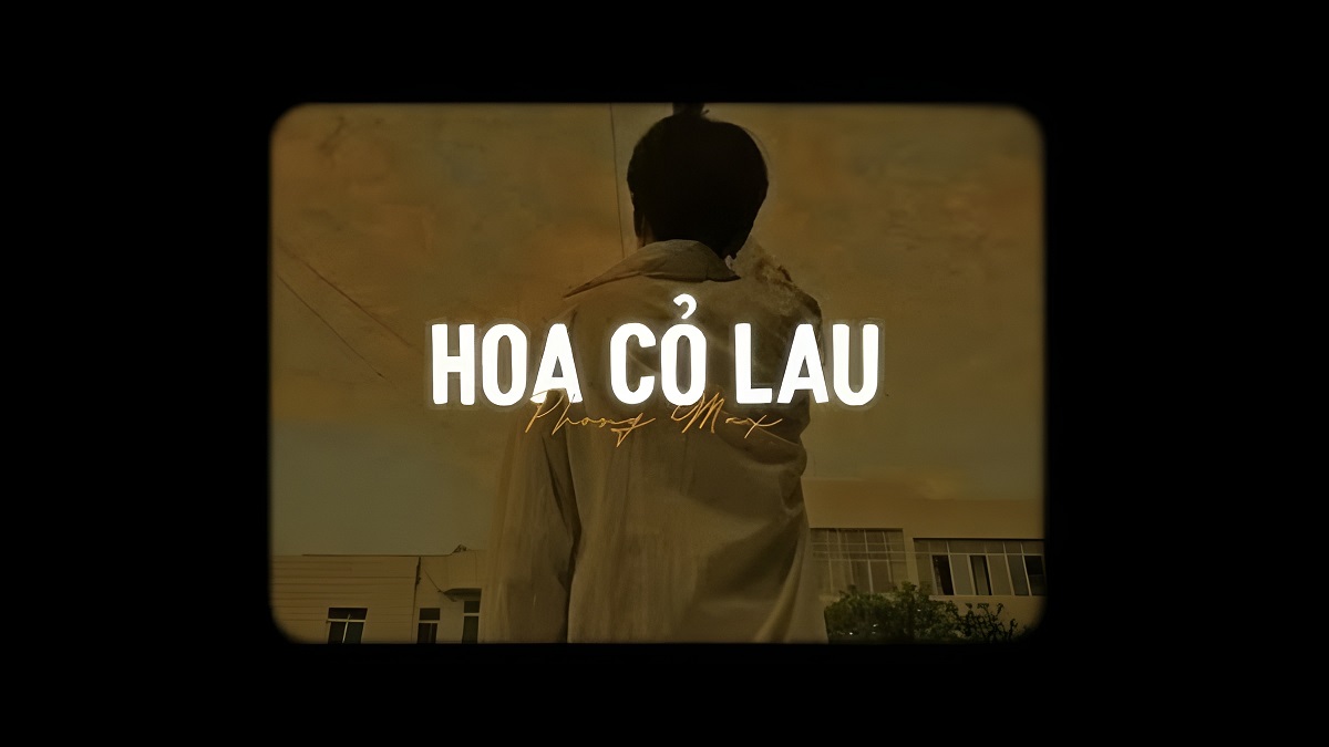 Lời bài hát Hoa Cỏ Lau – Full lyric cảm xúc & chính xác nhất