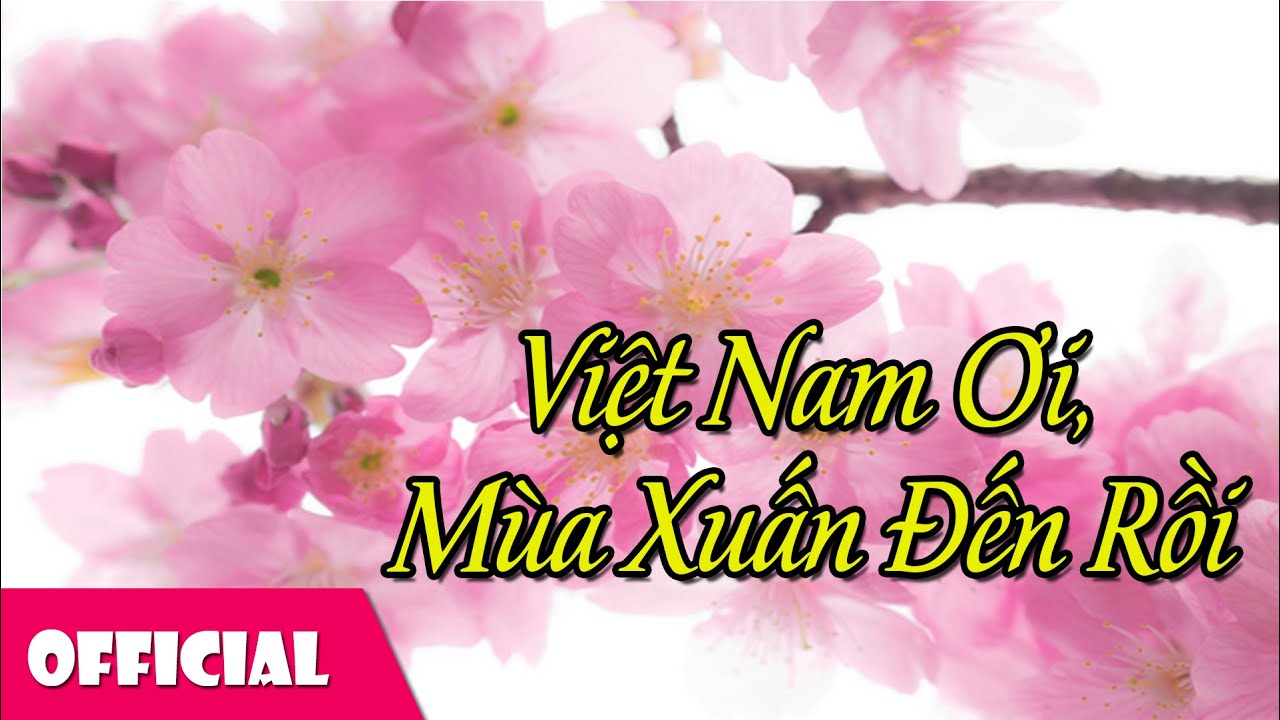 Lời Bài Hát Việt Nam Ơi Mùa Xuân Đến Rồi – Lyrics & Hợp Âm Chuẩn