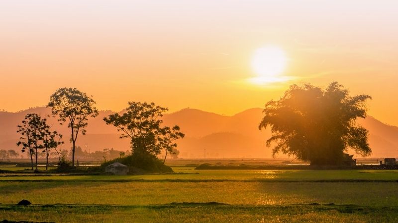 Lời Bài Hát Quê Hương – Ca Từ Đầy Xúc Động Về Tình Yêu Đất Nước