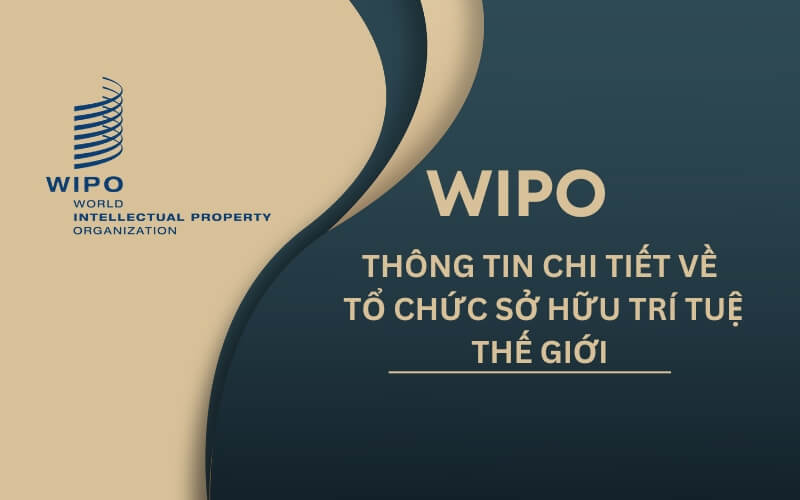Hiệp ước WIPO về Quyền tác giả (WCT): Nền tảng Bảo hộ Sáng tạo trong Kỷ nguyên Số