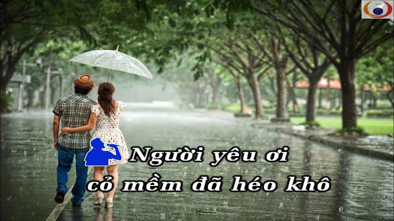 Khám Phá Lời Bài Hát Cơn Mưa Tình Yêu – Ca Khúc Lãng Mạn Vượt Thời Gian