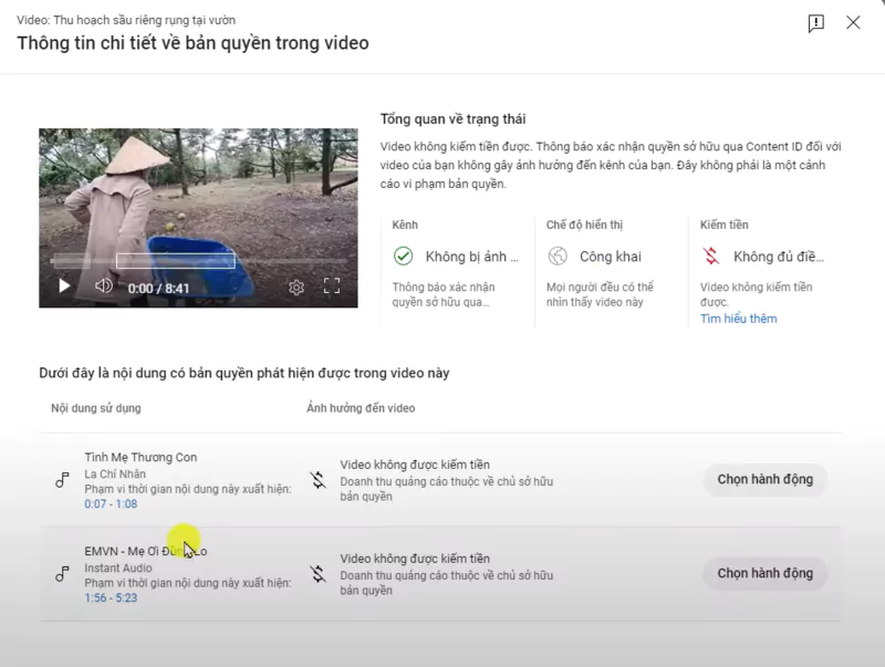 Thông tin về gậy bản quyền trong video YouTube