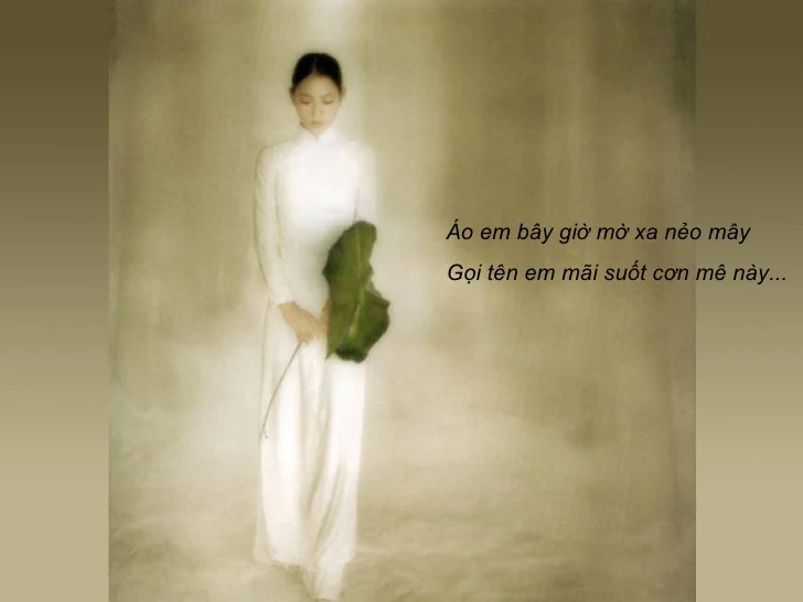 Ý nghĩa của ca khúc Hạ Trắng (Trịnh Công Sơn) – Một giấc mơ đời hư ảo